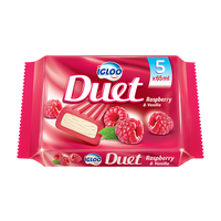 Duet Raspberry